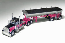 PETERBILT 379 PRIME MOVER with HALF PIPE TIPPING TRAILER black & plum